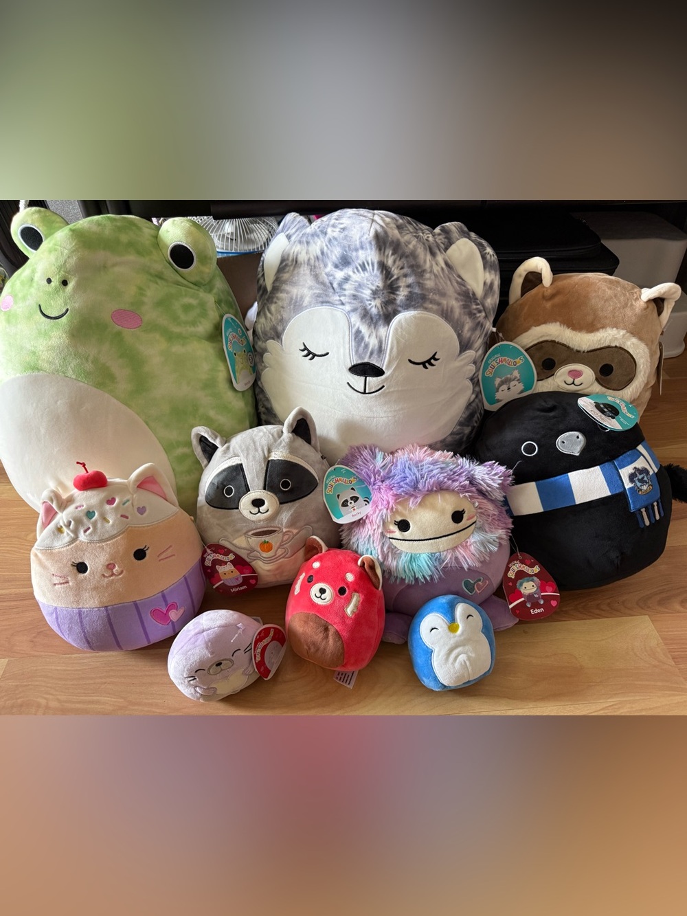 Squishmallows Plush Lot - Wendy, Heidi, Farice, Miriam, Rocky, Ravenclaw, Eden